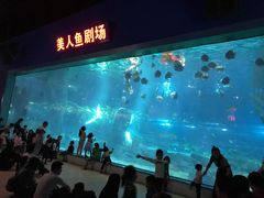 -福州罗源湾海洋世界旅游区