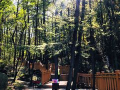 -鲁山国家森林公园