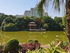 -黄埔荔枝公园