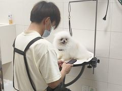 -悠尼宠物·独立低压伊珊娜洗护·美容·寄养(兰谷路店)