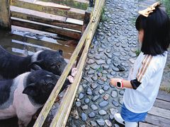 -宁波九龙湖开元度假村