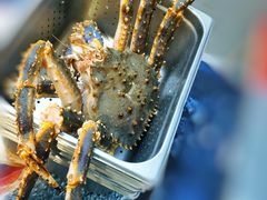 帝王蟹-盒马鲜生(顺义店)