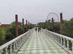 -百万葵园