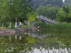 -御林古桑园