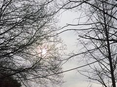 -上海滨江森林公园