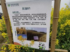 -中国天府农业博览园