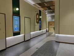 -英皇电影城(平安金融中心IMAX激光店)