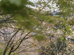 -颐和路民国时期公馆风貌区