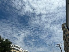 -齐齐哈尔市实验中学