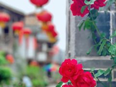 -海窝子古镇