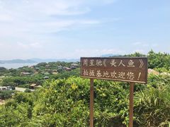 -杨梅坑