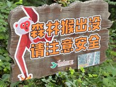 -杭州开元森泊度假乐园