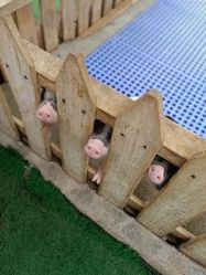 -萌宠亲子动物乐园(槐房万达店)