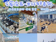-君乐宝优致牧场