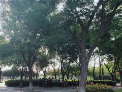 -圩墩遗址公园
