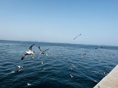 -大连海昌东方水城