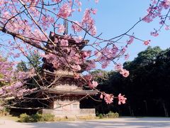 -醍醐寺