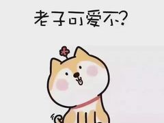 -万达影城(开福万达广场IMAX店)