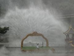 -西双版纳原始森林公园