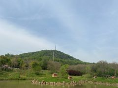 -合肥野生动物园