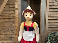 -济州岛泰迪熊博物馆