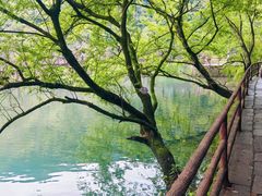 -五泄景区