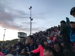 -企鹅岛