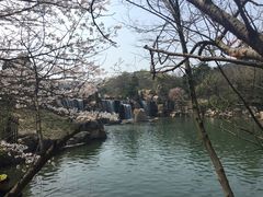 -白马涧龙池景区