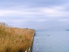 -碧桂园十里银滩