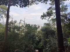 -深圳国际园林花卉博览园