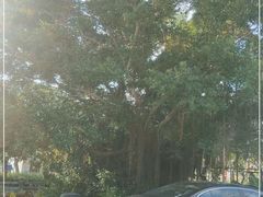 -玫瑰海岸文化旅游度假区