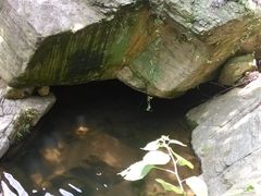 -木兰云雾山