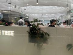 -大树餐厅(朝阳大悦城店)