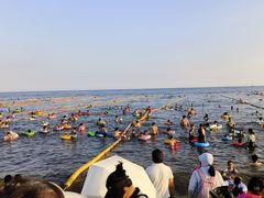 -老虎石海上公园