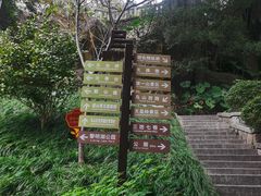 -乌山风景区