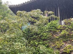 -藏龙百瀑风景区