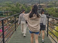 -海南槟榔谷黎苗文化旅游区