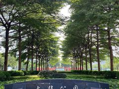 -文华公园(禅城区)
