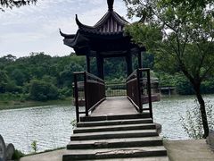 -宜兴龙背山森林公园