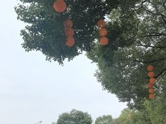-南湖梦幻岛