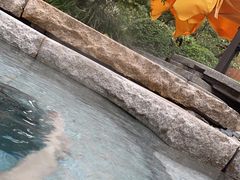 -西安华清御汤酒店