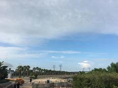 -宝安西湾红树林湿地公园