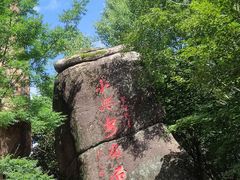 -汤旺河林海奇石景区