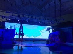 -三亚海昌梦幻海洋不夜城