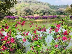 -南国桃园旅游度假区