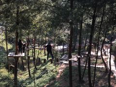 -梦幻奥陶纪景区