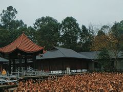 -巴山·烤全羊(高新总店)