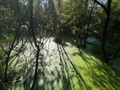 -西湖风景区-江洋畈生态公园