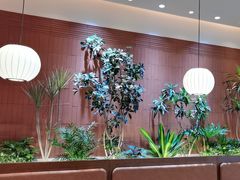 -奈雪的茶(广州白云区聚龙慧谷店)