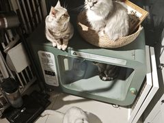 -平行世界·猫咖(首经贸店)